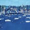 Town Harbor